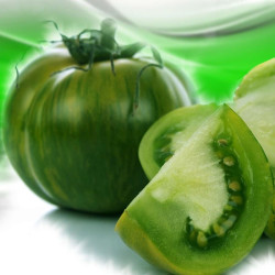 Semences Tomates Vertes Evergreen