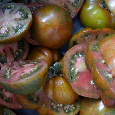 Semences Tomates Noires Black Zebra