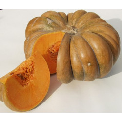 Semences Courges Musquée de Provence