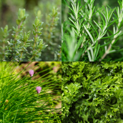 Pack Herbes de Grand-Mère