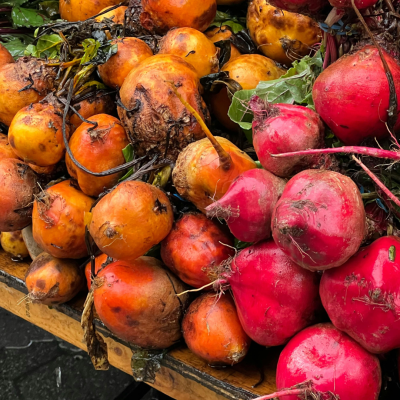 Semences Betterave En mélange