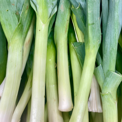 Semences Poireaux Hiver de Solaise