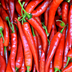 Semences Piments Sucette de Provence