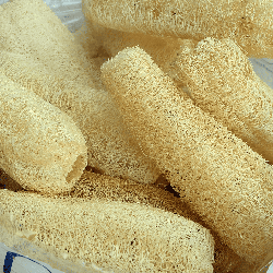 Semences Courges Luffa