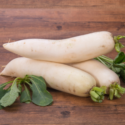 Semences Radis Glaçon