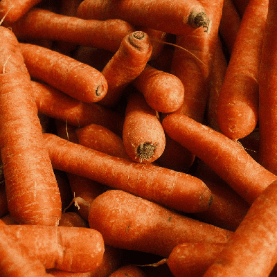 Semences Carotte Nantaise 2